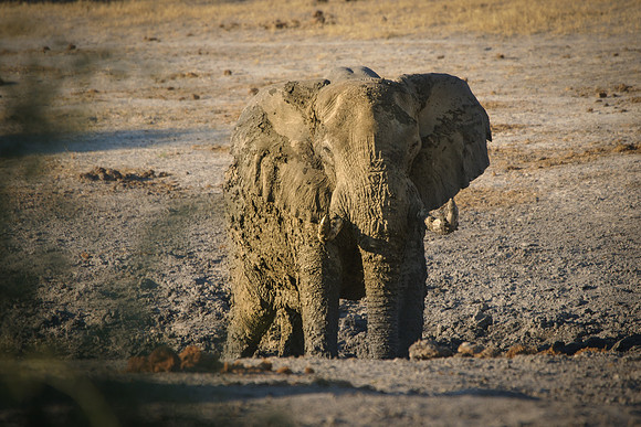Chobe, Botswana