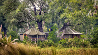 Safari Camps