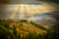 Yellowstone