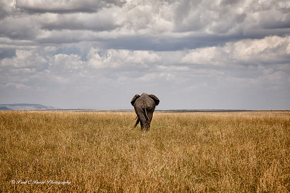 Kenya