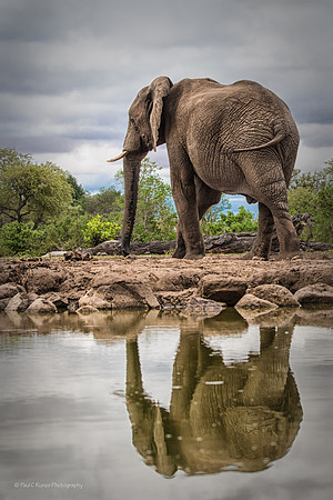 Mashatu, Botswana