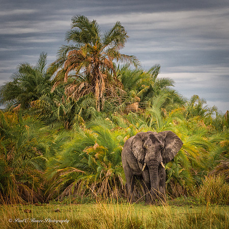 Okavango, Botswana