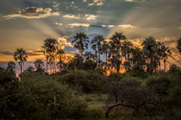 Sunset at Little Mombo Camp, Okavango Delta, Botswana